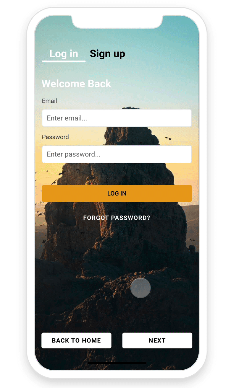 Connexion / Inscription (aperçu)